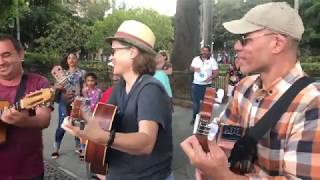 Singing Your Way To Havana, Cuba, and Back: Susan Werner profile