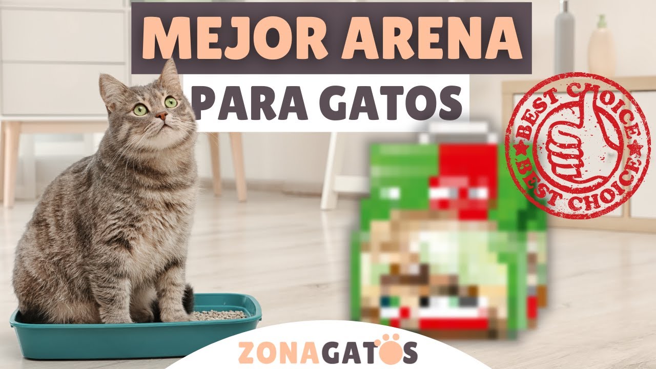 Watch La MEJOR ARENA para GATOS ➡️ marca y tipo ✔️ Now La MEJOR ARENA para GATOS ➡️ marca y tipo ✔️