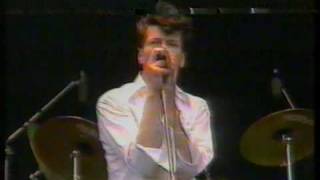 Herman Brood &amp; his Wild Romance: &quot;Sleepin&#39; bird&quot;(PINK-POP 1988)