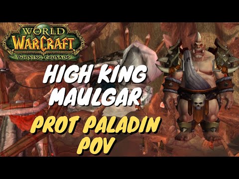 World of Warcraft: Burning Crusade Gruul's Lair High King Maulgar. Protection Paladin POV