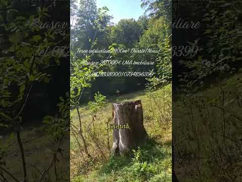 Teren intravilan Brasov Strada Ciresului 2900 mp — Video