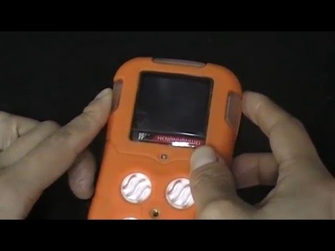 Portable Multi- Gas Detector