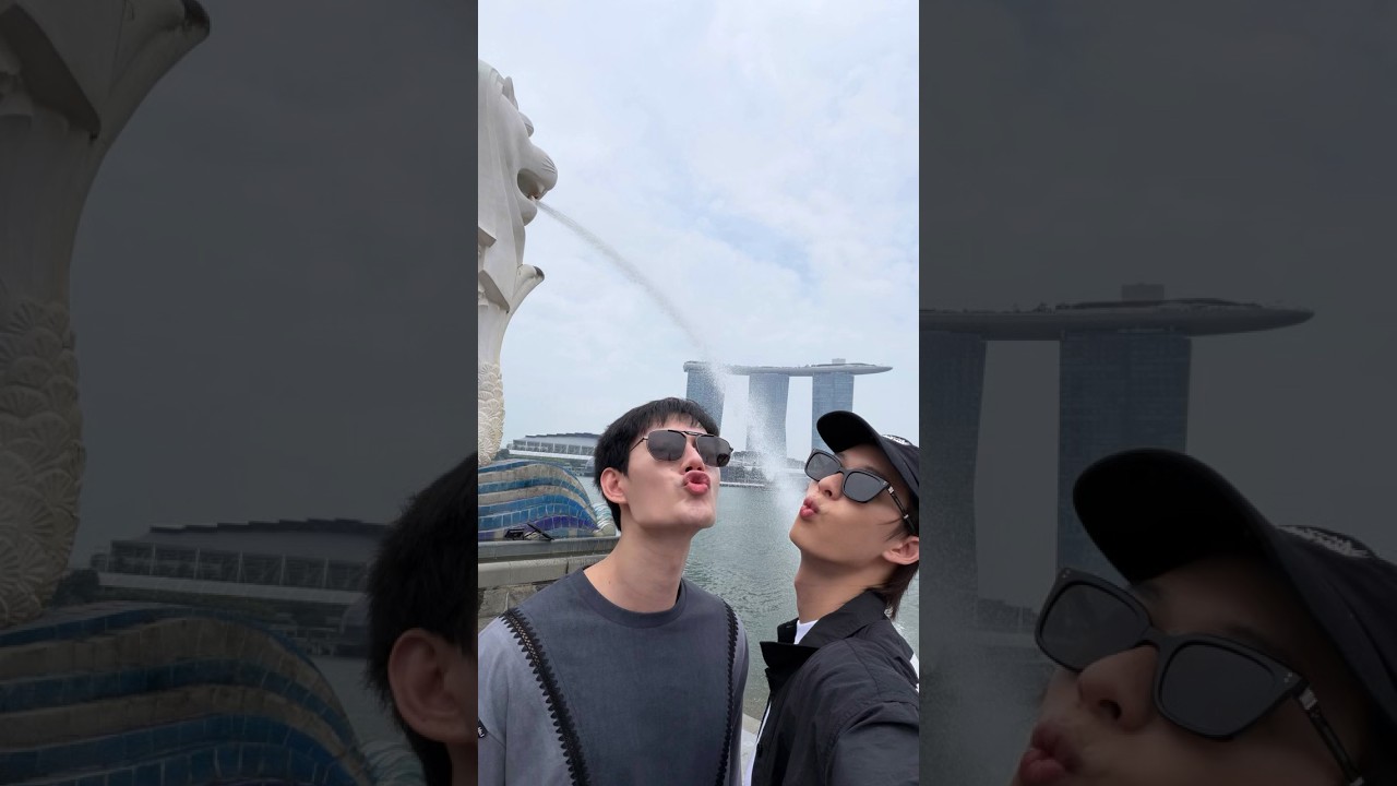 เมอล์ไลออนหวานมาก #poohpavel #ppoohkt #pavelphoom