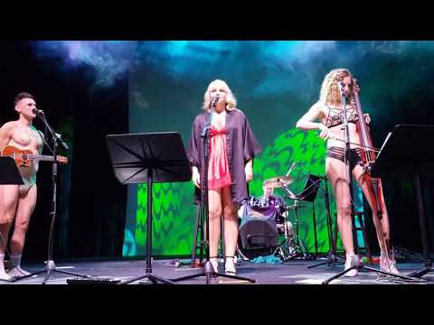 Chandelier/I Will Always Love You Mash Up- The Skivvies