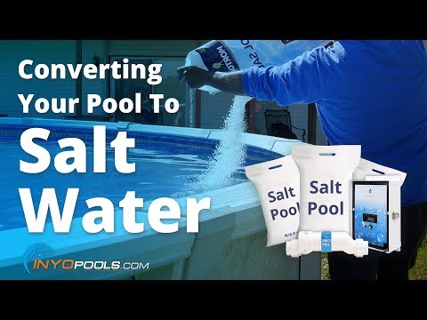 Converting Your Pool To Salt Water