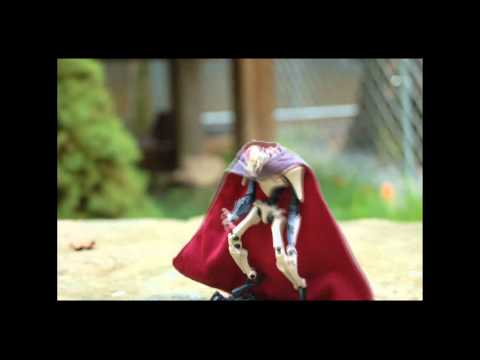 Clone Wars Voted Wars - Grievous vs Jedi Master