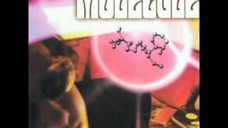 Molecule - Linea de fuego (ft. Pizko)