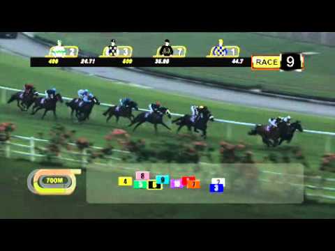 Davide, 3ro en el Saas Fee Stakes (G3)