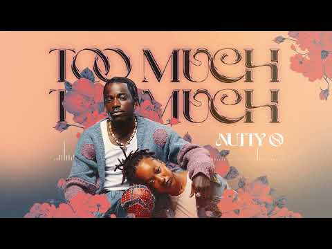 NUTTY O  -   TOO MUCH  (Visualizer)
