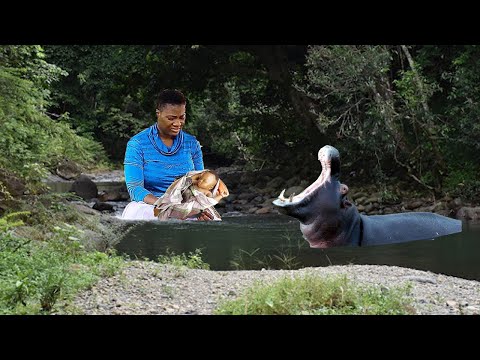 Watch The Rejected Orphan And The Royal Son - Full Movie - African Nollywood Nigerian Movie 2023