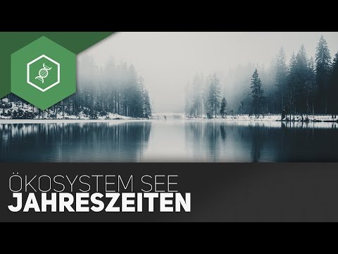Lake ecosystem - seasons
