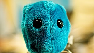 Top 10 Weird Viruses You Never Heard Of