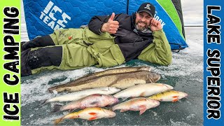 We Caught Every Fish Species In Lake Superior! (Almost)