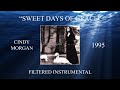 Cindy Morgan - Sweet Days Of Grace (Filtered Instrumental)