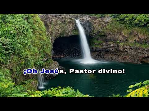 450 ¡Oh Jesús, Pastor divino!   Pista