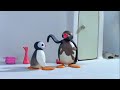 Pingu S06e03 Pottery Pingu Dvdrip Xvid