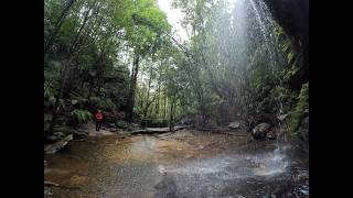 Waterfalls circuit - South Lawson Park and Terrace Falls Reserve, NSW