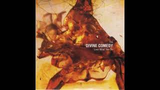 The Divine Comedy - Love What You Do (French &quot;Radio Edit&quot; remix)