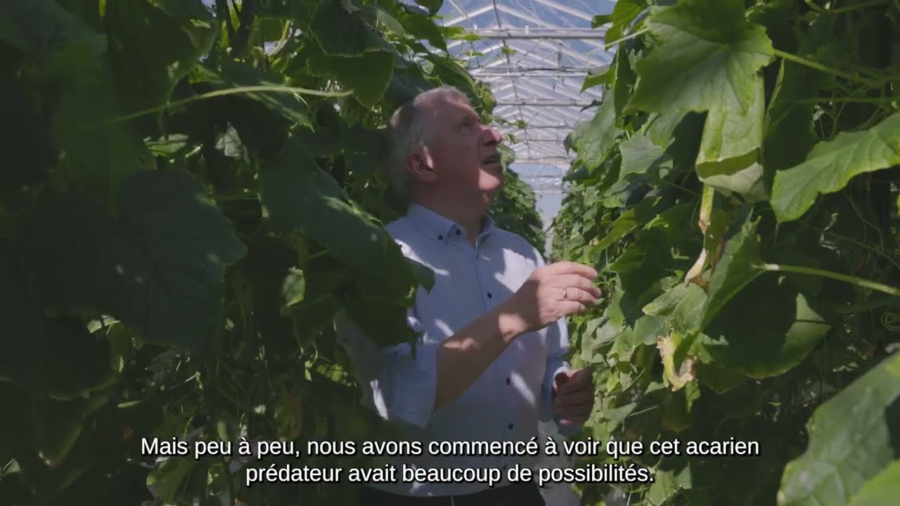 Video preview poster