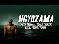 Kabza De Small Dlala Thukzin Ngyozama Ft Sykes Young Stunna Lyric Visualizer