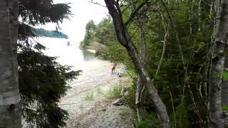 preview picture of video 'Unexpected Beach Encounter near Port Renfrew'