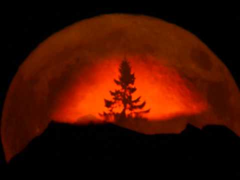 Zur rechten Zeit am richtigen Ort