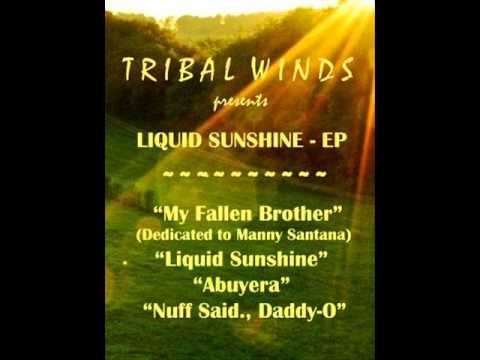 Antonio Ocasio - Liquid Sunshine