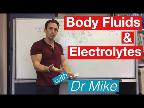 Body fluids and electrolytes