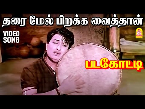 Tharaimel Pirakka Vaithaan - Video Song | தரை மேல் பிறக்க வைத்தான் | Padagotti | M.G.R | Saroja Devi