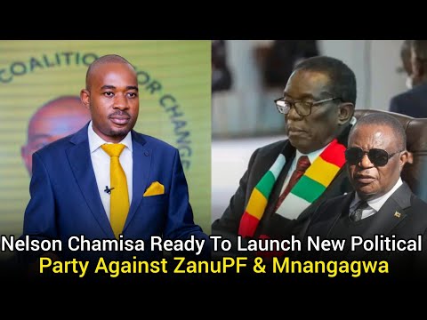 Nelson Chamisa speaking to a crowd in Harare, Zimbabwe, with Zanu-PF election posters in the background