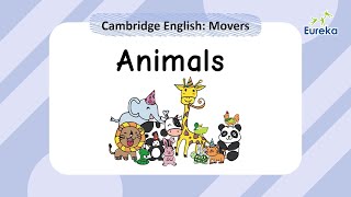 Cambridge English Movers | Animals | Flashcards | Basic Vocabulary | Pronunciation