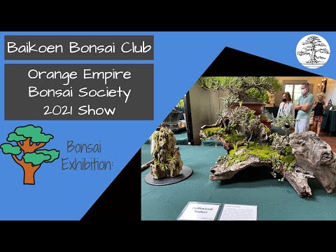 Orange Empire Bonsai Society 2021 Show -- Baikoen Bonsai Club - Safer @ Home Bonsai Series