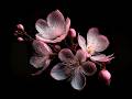 Bernward Koch - The Color Of Spring ...Relax (instrumental)