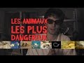 LES ANIMAUX LES PLUS DANGEREUX ! - YouTube