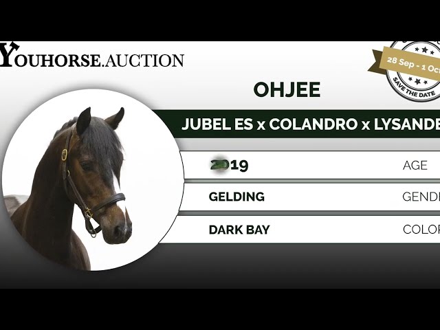 Ohjee homevideo