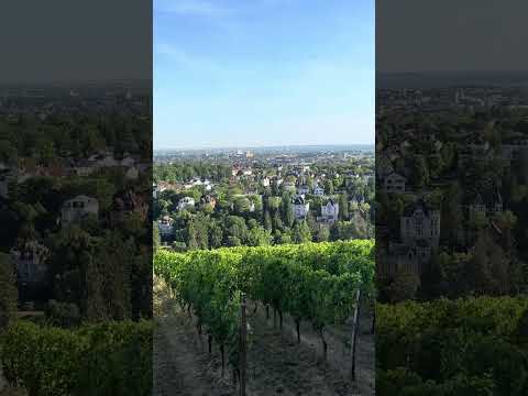 mirante panarâmico da cidade - Wiesbaden, Alemanha