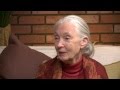 Jane Goodall 80th B Day Interview