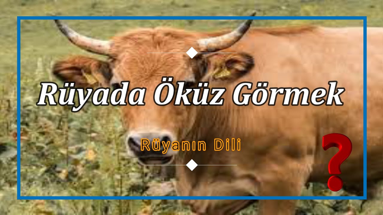RÜYADA ÖKÜZ GÖRMEK (rüya tabiri)