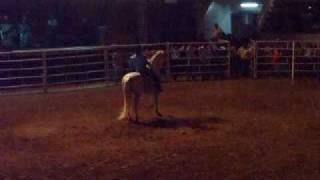 Joan Sebastian Los Perros