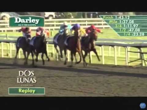 2011 Darley Alcibiades Stakes