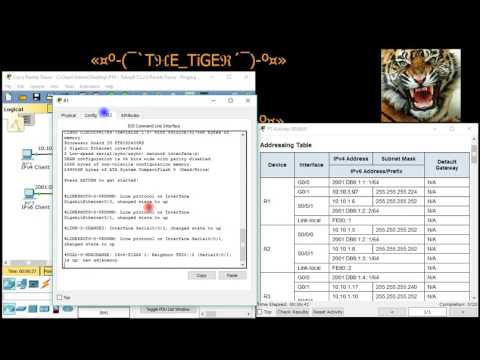 شرح مبسط ل Pinging and Tracing to Test the Path - CCNA1 - 7.3.2.6