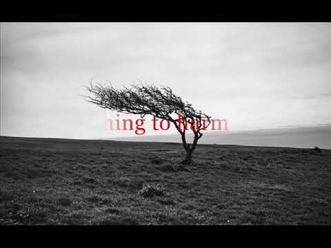 Buckethead ft Azam Ali & Serj Tankian • Coma (lyrics)