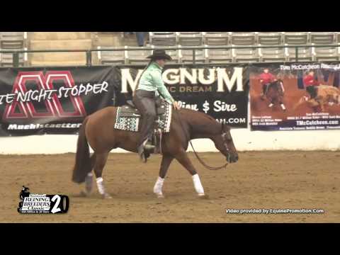 Skeets Whizard ridden by Amy Stoney    2017 NRBC NP Classic Challenge
