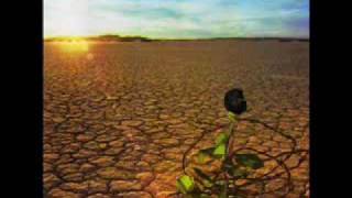 JD Souther - Midnight Prowl.wmv