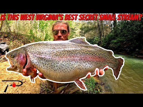 Wv Trout Map