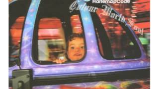 Where will you go by Harlem Zip Code