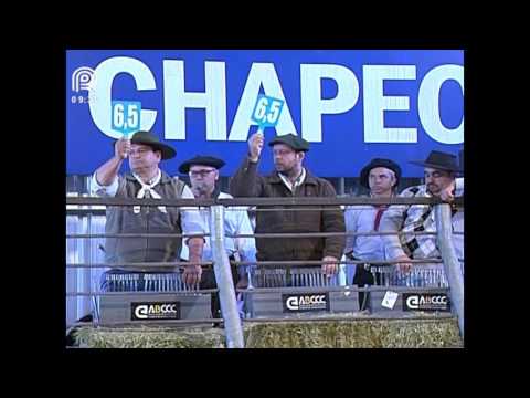 Chapecó – 6° lugar fêmeas – Herança 303 da Vendramin-Te