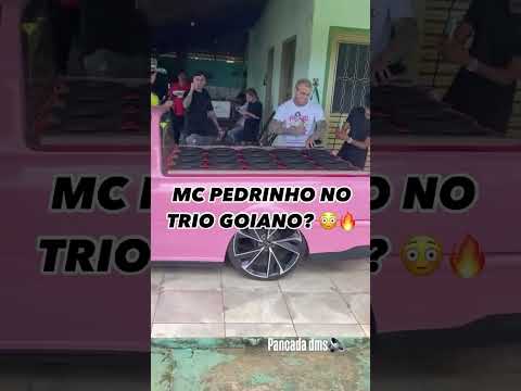 MC PEDRINHO NO TRIO GOIANO #eletrofunk #deboxe #desande #djskype #desandelifs #brasilia #visteon