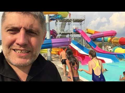 Kolumna 126, Miroljub Petrovic