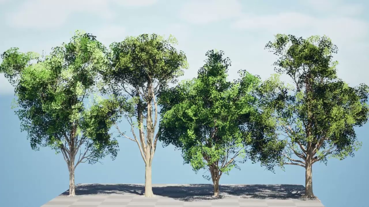 Burma Padauk Trees 3D 3D Model